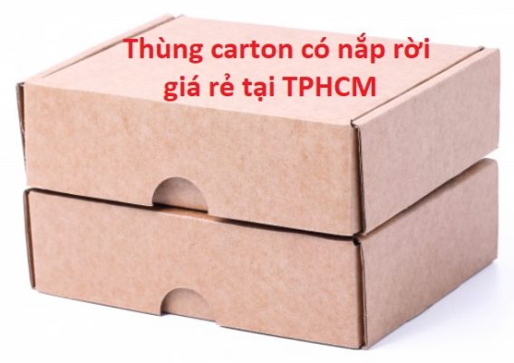 Thung carton co nap roi gia re tai TPHCM